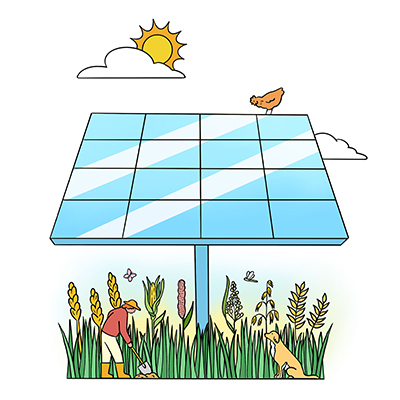 Artwork of agrivoltaics